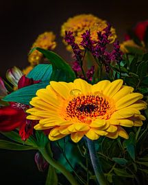 Flowers Plants Bouquet Spring by Marc van den Elzen