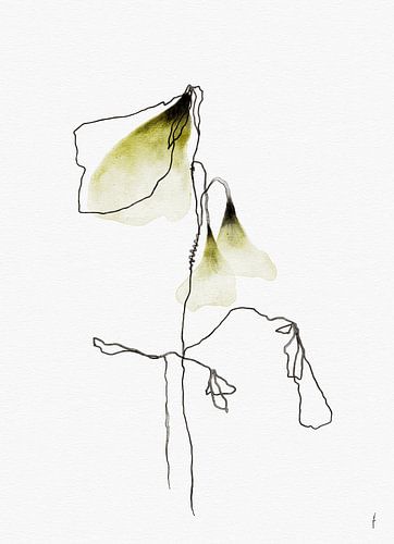 SOFT SPRING digital watercolour