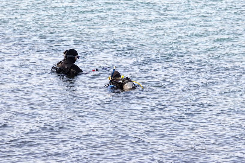 Dive by Petra Dreiling-Schewe