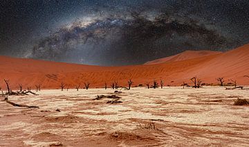 Deadvlei in the Namib Desert with Milky Way in Namibia, Africa by Patrick Groß