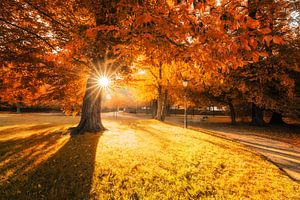 Une belle journée d'automne dans le parc sur Oliver Henze