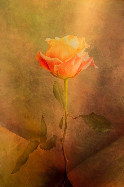 The Rose par Holger Debek