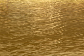 The sandstorm of life
