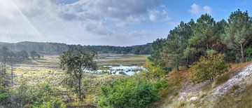 Panorama uitzicht op de Pirola vallei in de Schoorlse Duinen van Cor Brugman