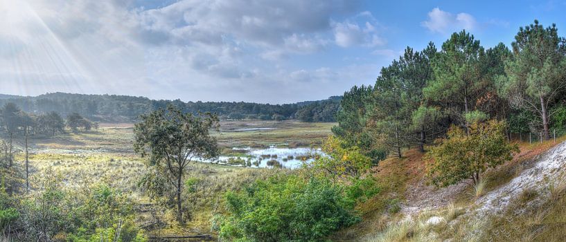 Panoramablick auf das Pirola-Tal in den Schoorl-Dünen von Cor Brugman