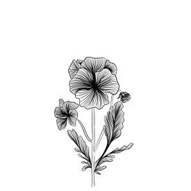 Poster Violett - Feine Strichzeichnung - Blume - Schwarz und weiß von Studio Tosca