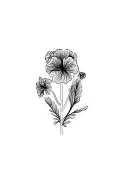 Poster Violett - Feine Strichzeichnung - Blume - Schwarz und weiß