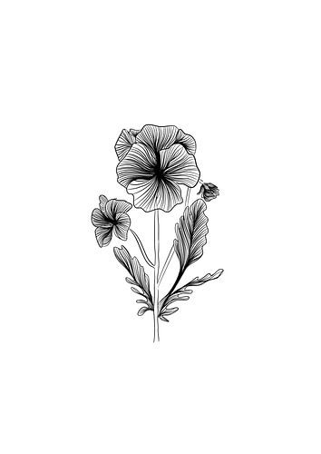 Poster Violet - Fine line illustration - Flower - Black and white