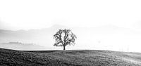 Black and white landscape in the Alps