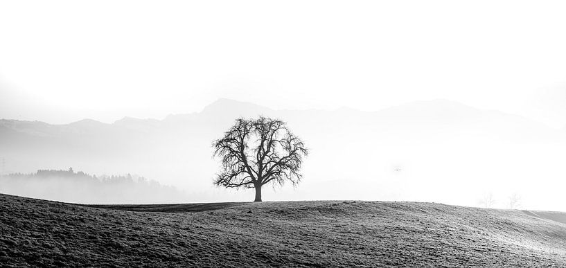 Zwart-wit landschap in de Alpen van mirrorlessphotographer