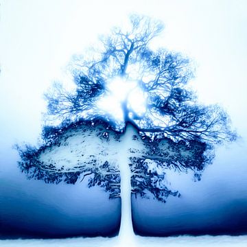 Eenzaam boom in de mist van Maurice Dawson