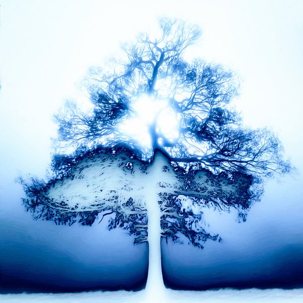 Lonely tree in the fog by Maurice Dawson