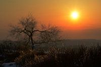 Lever de soleil avec brouillard dans les Ardennes