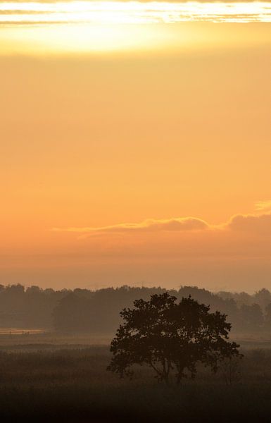 Zonsopkomst bij Burgummermeer by Saskia van den Berg Fotografie