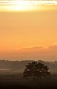 Zonsopkomst bij Burgummermeer by Saskia van den Berg Fotografie thumbnail