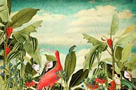 Botanique avec oiseaux et fleurs tropicales par Studio POPPY Aperçu