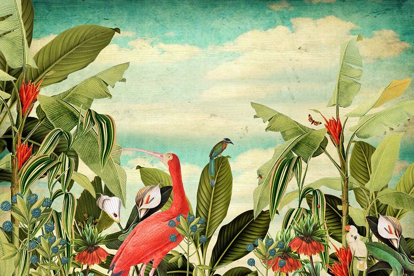 Botanisch mit tropischen Vögeln und Blumen von Studio POPPY