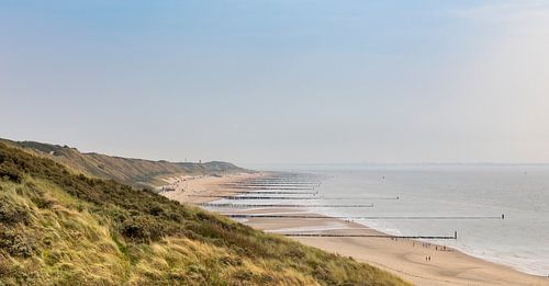 Les dunes de Zoutelande