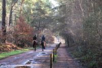 In galop