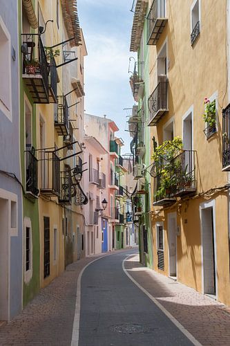 spaanse kleur en pracht