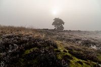 Enchanteresse Mystique : Lever de soleil magique dans les Engbertsdijkervenen