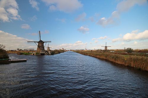 Molens in groothoek in KInderdijk