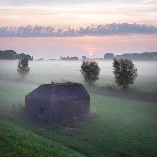bunker bij culemborg in weiland op vroege, mistige ochtend tijdens zonsopkomst