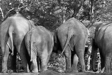 What a nice buttocks by Dick Vervaart