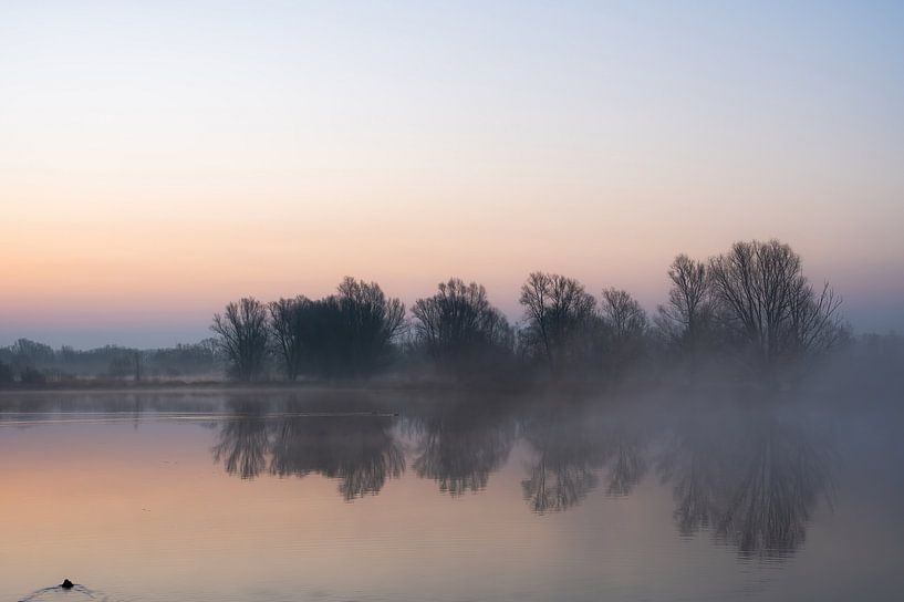 Meinerswijk part 20 by Tania Perneel