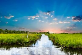 Die Weerribben, National Park Weerribben-Wieden.