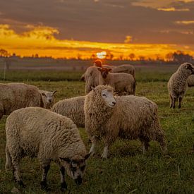 Zonsopkomst in Zuid-Limburg van John Kreukniet