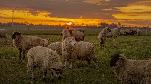 Sunrise in South Limburg by John Kreukniet