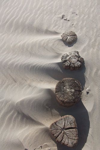 Het Zand, The Sand, der Sand