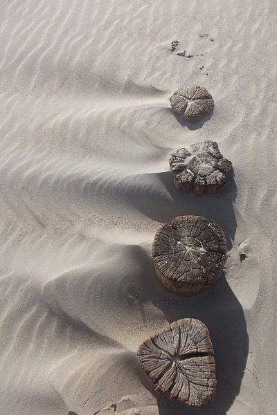 Het Zand, The Sand, der Sand van Yvonne de Waal Malefijt