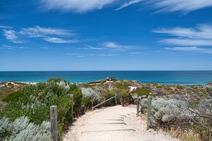 The Mary Lindsay Lookout