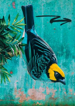 Blue bird with yellow head