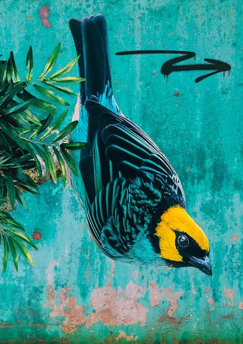 Blauer Vogel mit gelbem Kopf von Postergirls