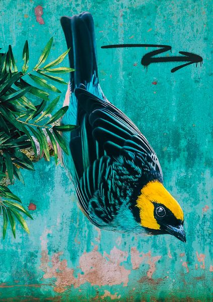 Blue bird with yellow head by Postergirls