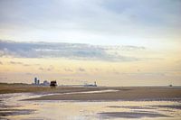 Cavaliers près de la jetée de Scheveningen