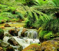 Where water sings