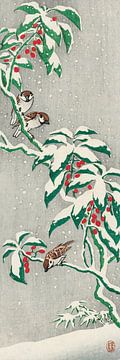 Sparrows on snowy berry bush (1900-1945) by Ohara Koson van Studio POPPY