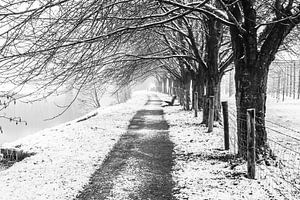 Sneeuw en mist bij het Kromme Rijnpad ter hoogte van de kersenboomgaard bij de Koningslaan, Utrecht