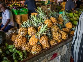 Mauritius - Ananas auf dem Central Flacq Market
