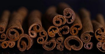 Cinnamon sticks by Blackbird PhotoGrafie