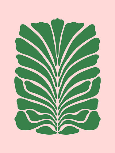 plante sur fond rose
