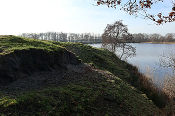 wyldemerk