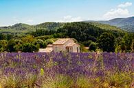 Provence van Claudia Moeckel thumbnail