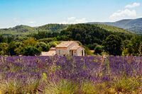 Provence