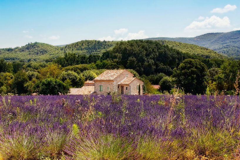 Provence par Claudia Moeckel