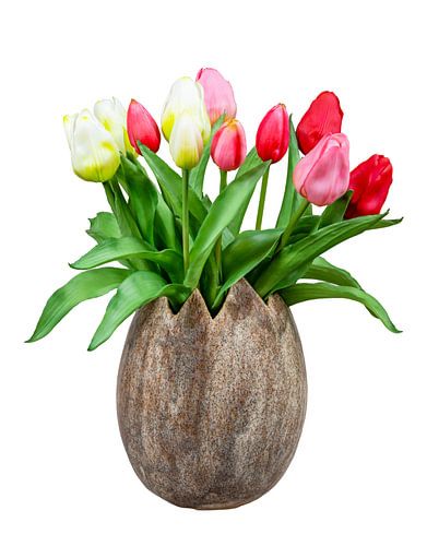 Décoration printanière avec un bouquet de tulipes sur fond blanc